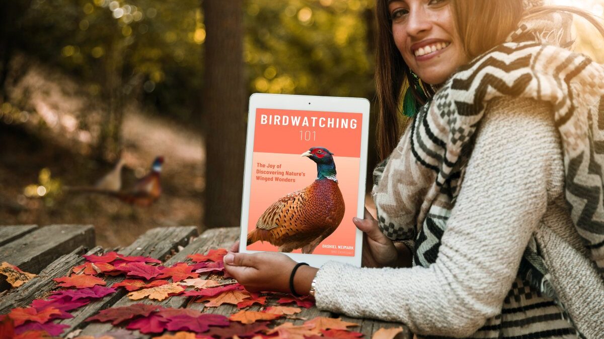 Birdwatching 101: The Joy of Discovering Nature's Winged Wonders
