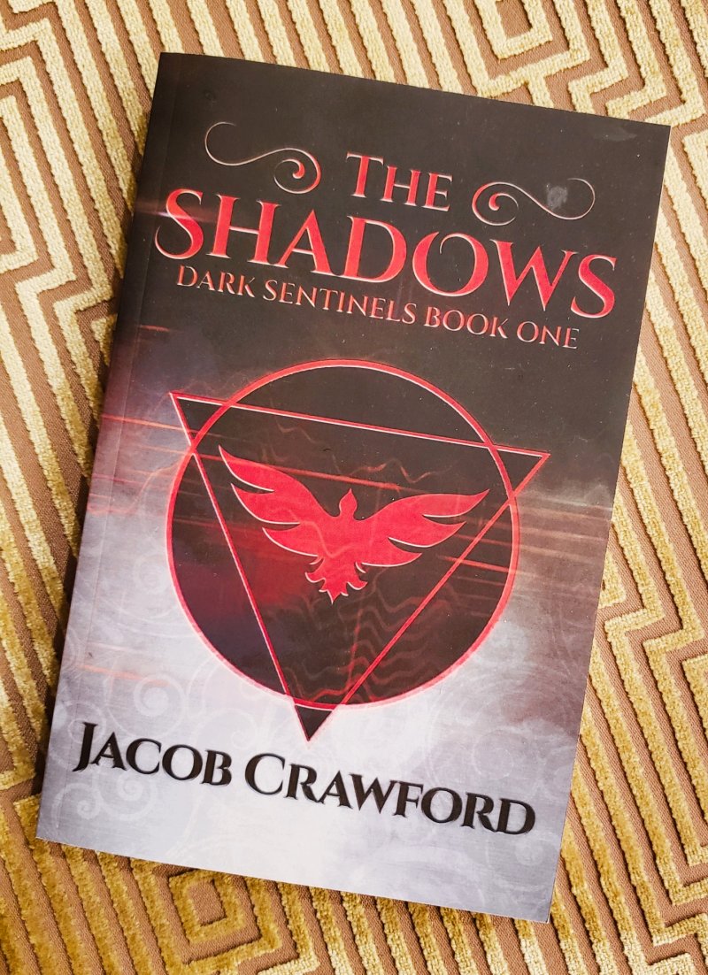 The Shadows (Dark Sentinels Book 1) book photo