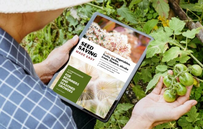 Seed Saving Made Easy: A Comprehensive Guide for Beginners and Seasoned Growers