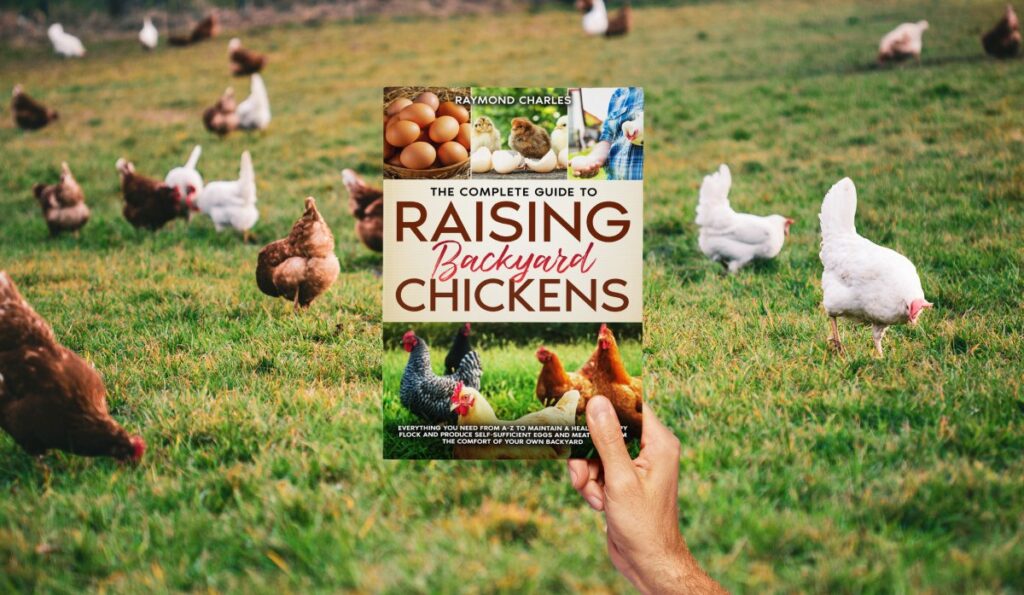 The Complete Guide to Raising backyard Chickens: Everything You Need from A-Z to Maintain a Healthy Happy Flock and Produce Self-sufficient Eggs and Meat All from the Comfort of Your Own Backyard