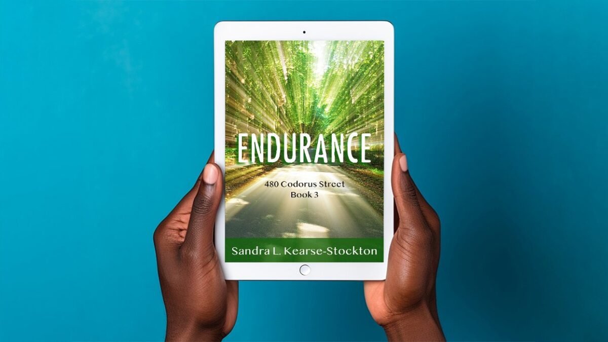 Endurance: 480 Codorus Street Book 3
