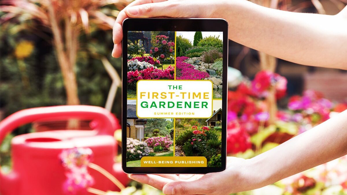 First Time Gardener Summer Edition web